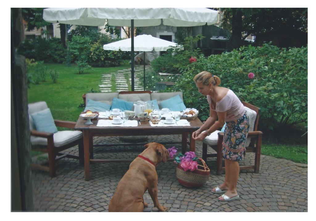 Bed & Breakfast V